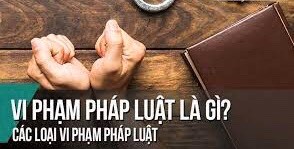 Pháp luật hình sự là gì Cập nhật 2023  Luật ACC